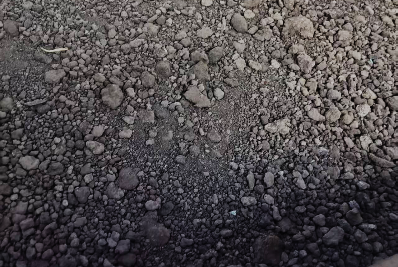 污泥颗粒成型